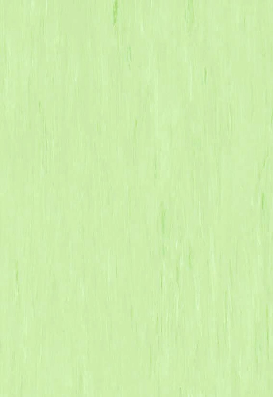 1007 1007