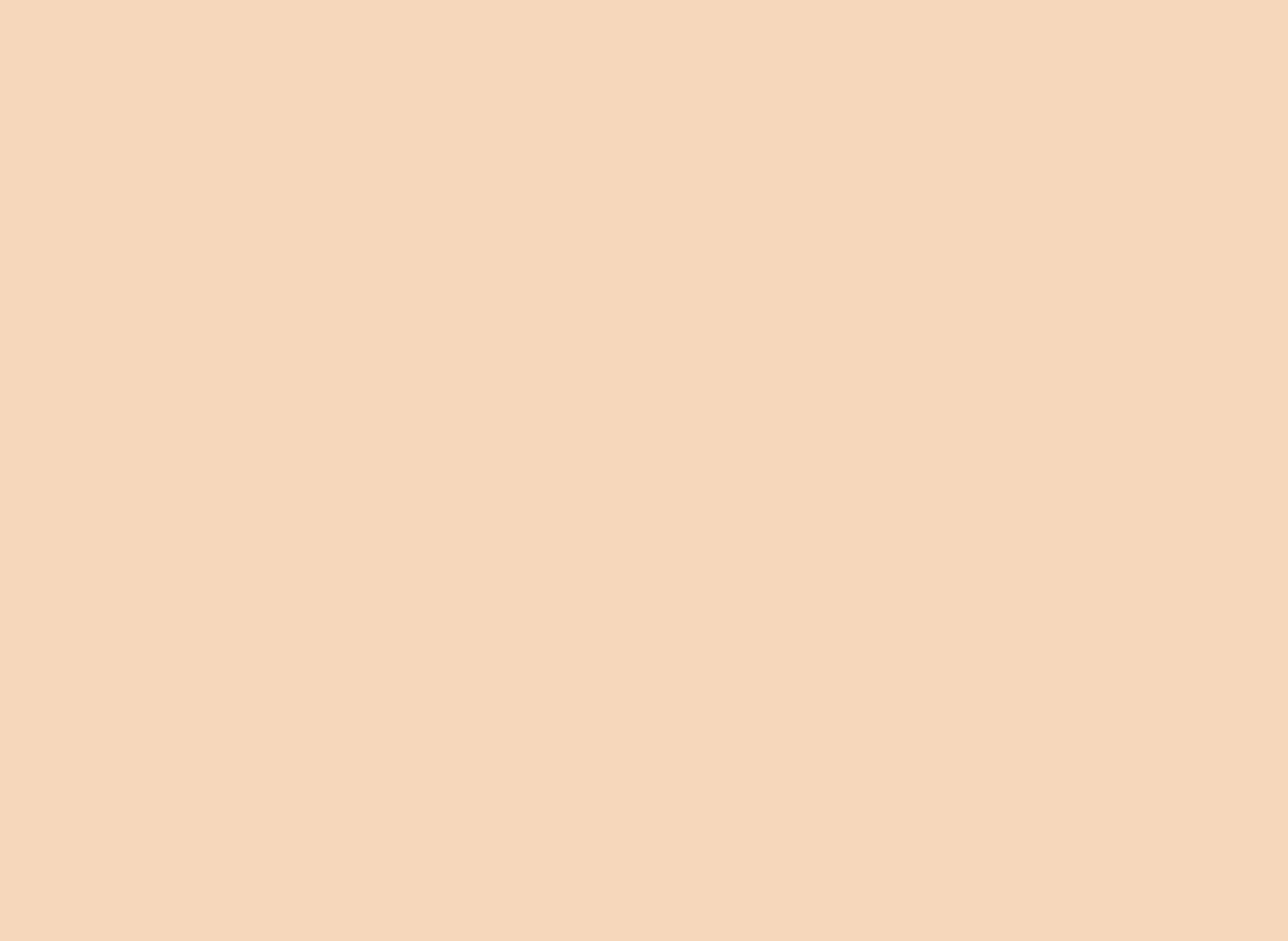 3009 3009 LIGHT ORANGE